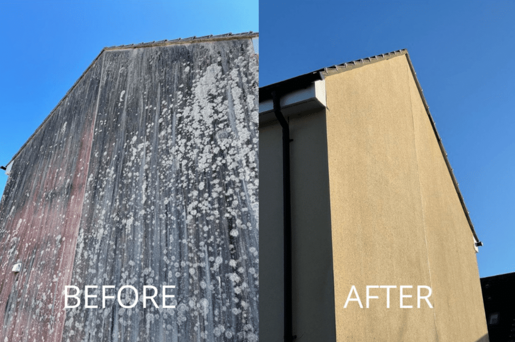 k-rend cleaning render