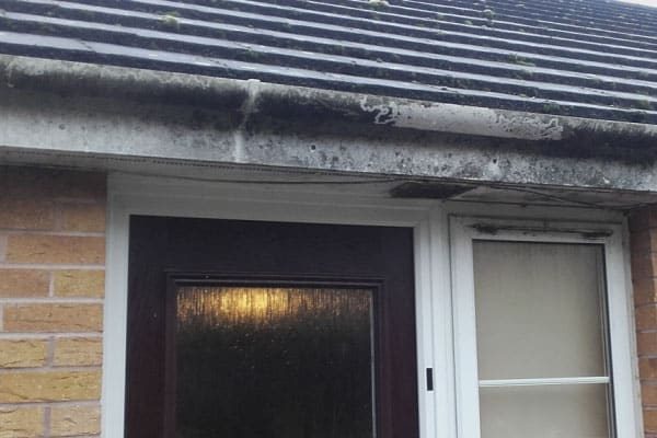 Weatherboard Cleaning Before
